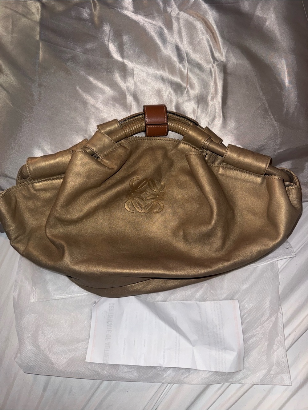 Loewe Metallic Gold Slouchy Hobo with Brown Accents